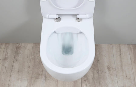 Rimless Toilets