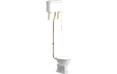 Ascot High Level WC with Brushed Brass Finish and Soft Close Seat