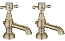 Titan Basin Pillar Taps - Brushed Brass